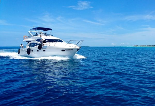 Luxe et élégance : découvrez la location bateau seine