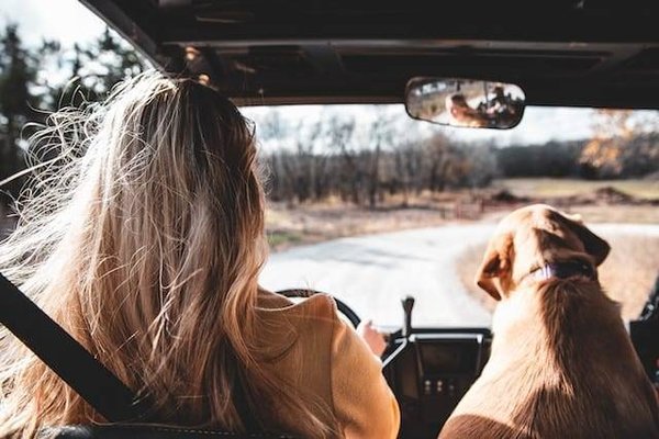 Combien faut-il économiser pour un road trip ?
